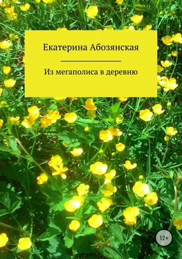 Екатерина Абозянская Из мегаполиса в деревню обложка книги