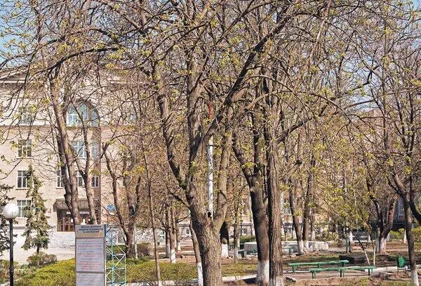 Академия Строительства и Архитектуры Главный корпус Мемориальная доска - фото 223