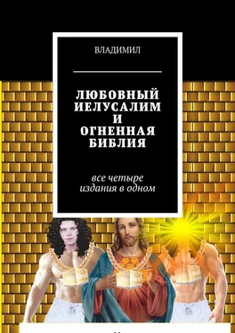 ВЛАДИМИЛ Любовный Иелусалим и Огненная библия. Все четыре издания в одном обложка книги