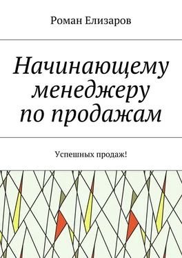 Роман Елизаров Начинающему менеджеру по продажам. Успешных продаж! обложка книги