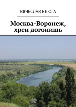 Вячеслав ВъЮГа Москва – Воронеж, хрен догонишь. Рассказы обложка книги