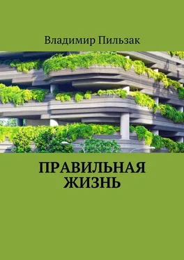 Владимир Пильзак Правильная жизнь обложка книги