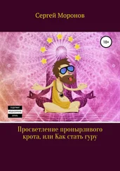 Сергей Моронов - Просветление пронырливого крота, или Как стать Гуру