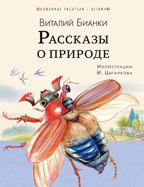 Виталий Бианки Рассказы о природе обложка книги