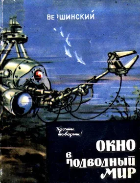 Николай Вершинский Окно в подводный мир обложка книги