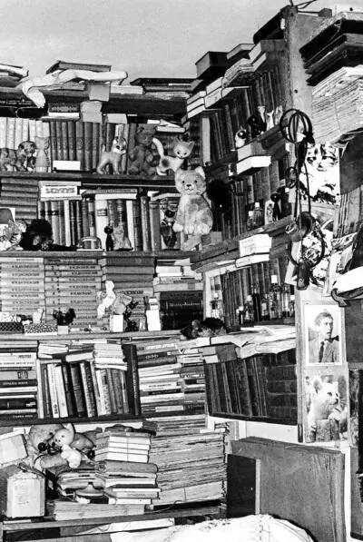 Уголок квартиры Козина А какие там были рецензии Я приведу некоторые из них в - фото 6