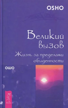 Бхагаван Раджниш (Ошо) Великий вызов. Жизнь за пределами обыденности обложка книги