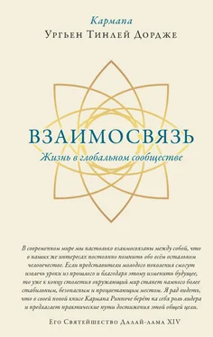 Ургьен Тинлей Дордже Взаимосвязь. Жизнь в глобальном сообществе обложка книги