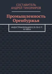 Андрей Тихомиров - Промышленность Оренбуржья. Индустриализация в 20-30-е гг. XX века