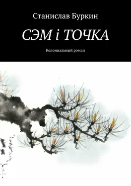 Станислав Буркин СЭМ i ТОЧКА. Колониальный роман обложка книги