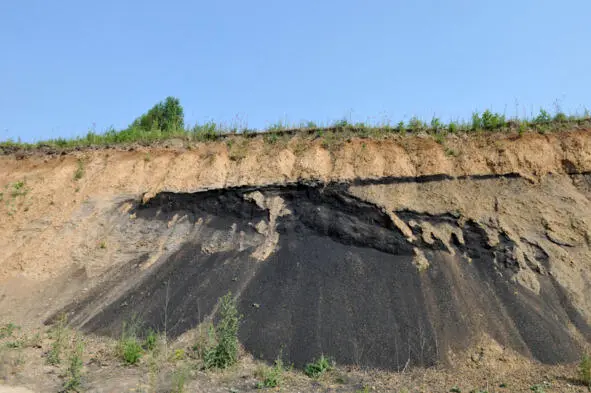 Говорят угольные пласты копали прямо на берегу Томи под Кузнецкой крепостью - фото 1