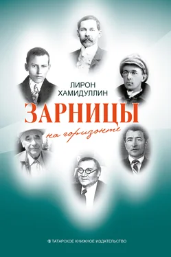 Лирон Хамидуллин Зарницы на горизонте (сборник) обложка книги