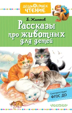 Борис Житков Рассказы про животных для детей обложка книги