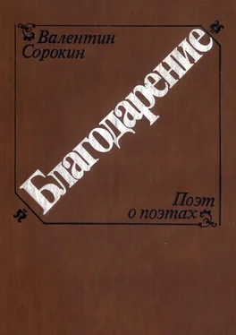 Валентин Сорокин Благодарение обложка книги