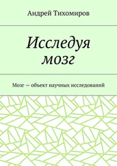 Андрей Тихомиров - Исследуя мозг. Мозг – объект научных исследований