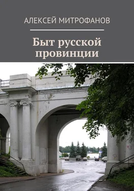 Алексей Митрофанов Быт русской провинции обложка книги