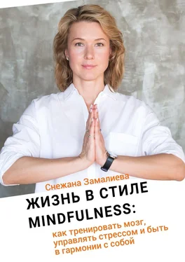 Снежана Замалиева Жизнь в стиле Mindfulness. Как тренировать мозг, управлять стрессом и быть в гармонии с собой обложка книги