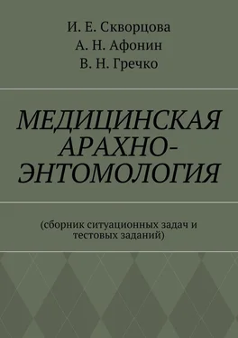 Инна Скворцова Медицинская арахно-энтомология. Сборник ситуационных задач и тестовых заданий обложка книги