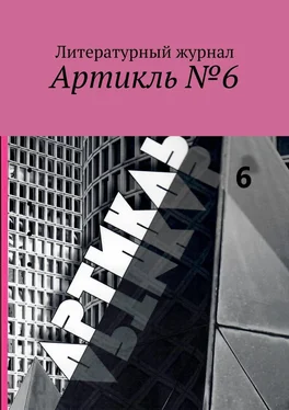 Яков Шехтер Артикль №6 обложка книги