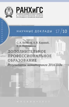 Сергей Беляков Дополнительное профессиональное образование. Результаты мониторинга 2016 года обложка книги