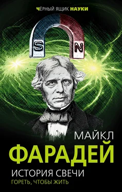 Майкл Фарадей История свечи. Гореть, чтобы жить обложка книги