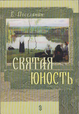 Евгений Поселянин Святая юность обложка книги