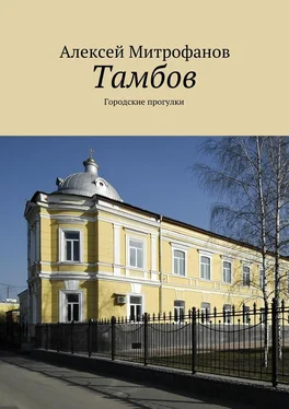 Алексей Митрофанов Тамбов. Городские прогулки обложка книги