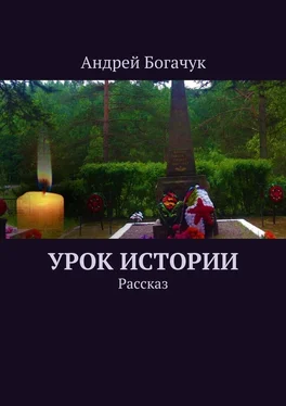 Андрей Богачук Урок истории. Рассказ обложка книги