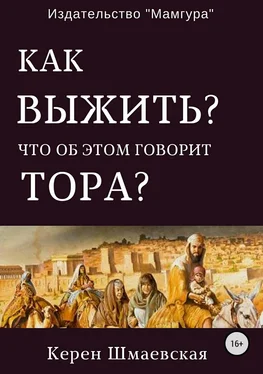Керен Шмаевская Как выжить? Что об этом говорит Тора? обложка книги