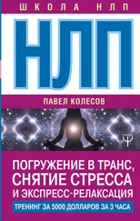Павел Колесов - НЛП. Погружение в транс, снятие стресса и экспресс-релаксация. Тренинг за 5000 долларов за 3 часа