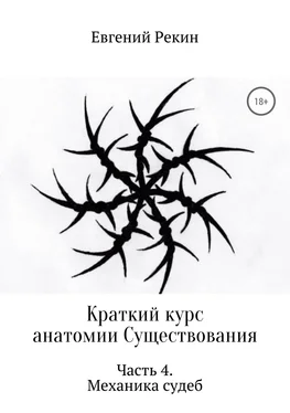 Евгений Рекин Краткий курс анатомии Существования. Часть 4. Механика судеб обложка книги