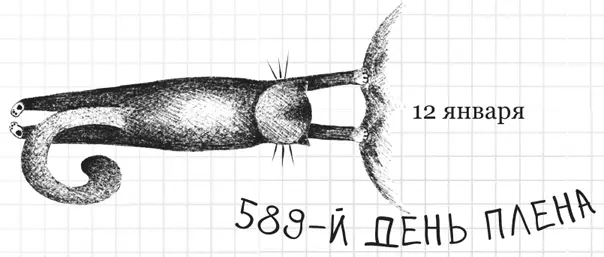 Я беспокоюсь за моих двуногих Они явно страдают гиперактивностью Представьте - фото 12