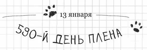 Из всех членов семьи я больше всего люблю малыша Родольфа которому всего 6 - фото 13