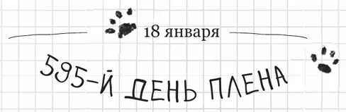 Эй Патапуф Иди сюда Ты заметил что живот твоей хозяйки очень раздулся Да - фото 17