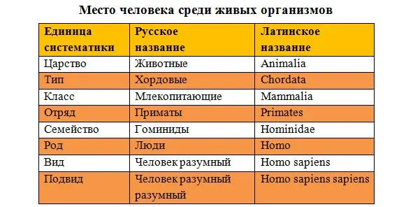 К семейству гоминид помимо человека относятся еще орангутаны гориллы и - фото 1