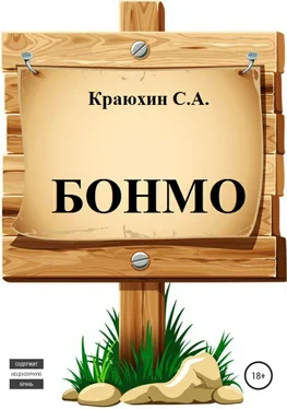 Сергей Краюхин БОНМО обложка книги