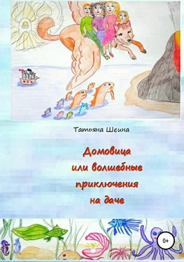 Татьяна Шеина Домовица, или Волшебные приключения на даче обложка книги