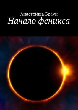 Анастейша Браун Начало феникса обложка книги