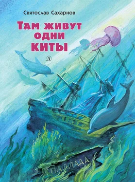 Святослав Сахарнов Там живут одни киты (сборник) обложка книги