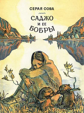 Серая Сова Саджо и ее бобры обложка книги