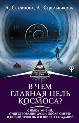 Людмила Стрельникова - В чем главная цель Космоса? Смысл жизни, существование души после смерти и новый уровень жизни без страданий