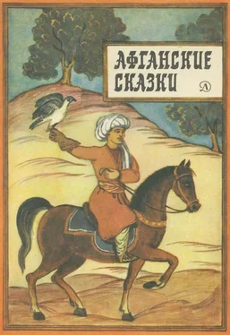 Автор Неизвестен Array Афганские сказки обложка книги