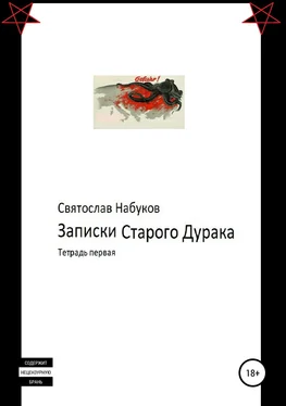 Святослав Набуков Записки Старого Дурака. Тетрадь первая обложка книги