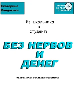 Катерина Кандакова Из школьника в студенты без нервов и денег обложка книги