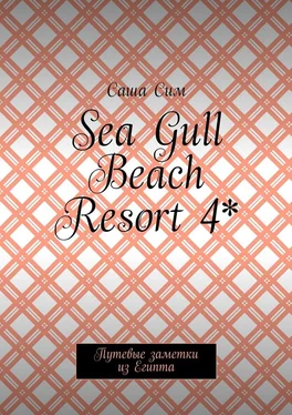 Саша Сим Sea Gull Beach Resort 4*. Путевые заметки из Египта обложка книги