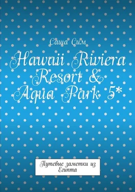Саша Сим Hawaii Riviera Resort & Aqua Park 5*. Путевые заметки из Египта обложка книги