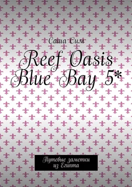 Саша Сим Reef Oasis Blue Bay 5*. Путевые заметки из Египта обложка книги