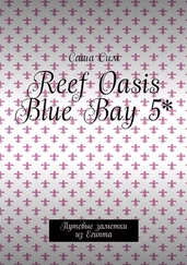 Саша Сим - Reef Oasis Blue Bay 5*. Путевые заметки из Египта