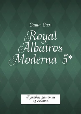 Саша Сим Royal Albatros Moderna 5*. Путевые заметки из Египта обложка книги