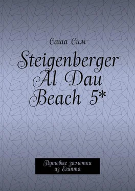 Саша Сим Steigenberger Al Dau Beach 5*. Путевые заметки из Египта обложка книги